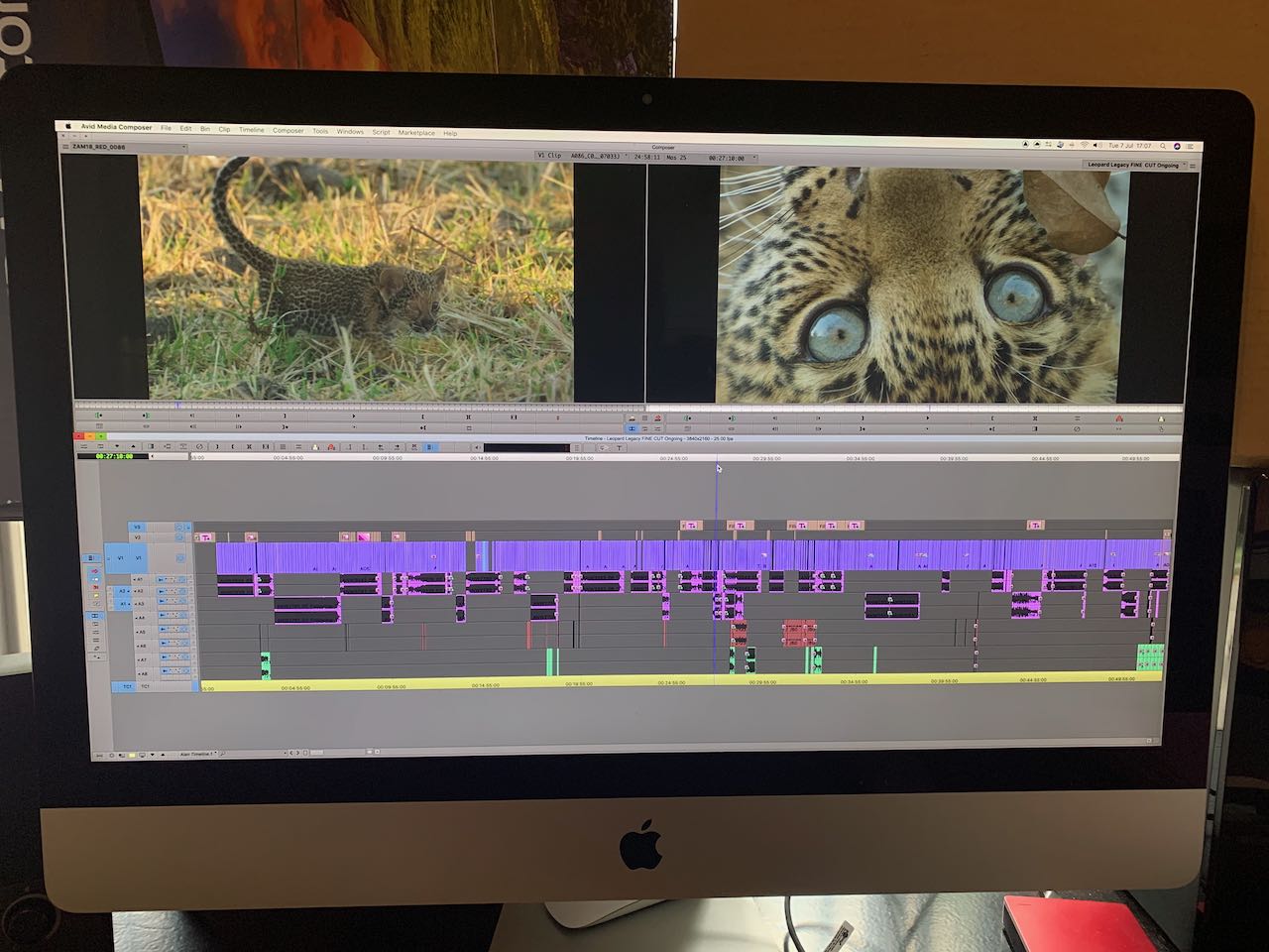Alan Miller editing software